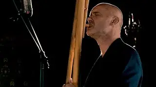 Tree Trunk ~ a Double Harmonic Overtone flute solo
