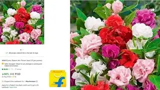 Exotic Balsam Flower Seed 💐 (15 Per Packet) Unboxing Video || SK NEON