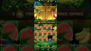 Jungle delight 20 bet big win#yonogameswintrick #catgame #bigwin #yonogaming #bigbet #jungledelight