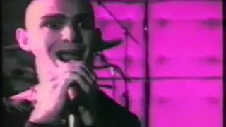 Z Mommy- Shampoohorn