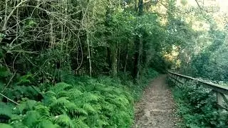 101 storie Zen - le porte del paradiso