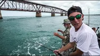 One of the Worlds MOST Powerful Fish
