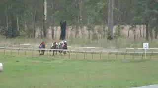 Mt Perry 16112024 Race 5