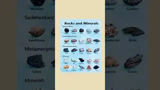 geology🌍 #geologists  #geology #facts #shortvideo #youtubeshorts #information #youtube #shorts