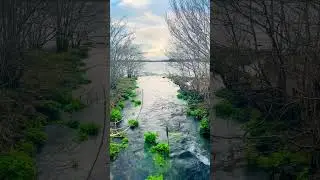#ireland #river #photography #trending