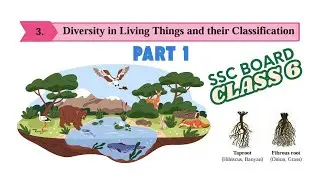 Diversity in Plants | Class 6 Science Ch 3 | SSC Maharashtra Board | English Medium (Part 1)