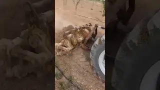 Amazing rotavator for tractor #agriculture #tractor #farming