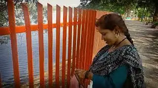 Aaye Hain dudhiya talab machhliyon ko Dana khilane#vlogs video 
