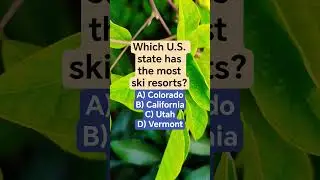 Which U.S. state has the most ski resorts?