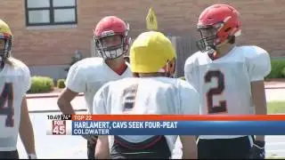 Top 22 - 2015: Coldwater's Aaron Harlamert