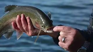 Grafham Water Trout bank fishing - November '17