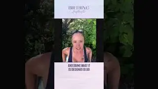 Birthing Instincts #278 Red Flags When Choosing a Practitioner with Down to Birth Podcast Team