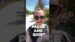 Peace and quiet #shorts #english #study #peace #relaxing #английский #обучение #отдых