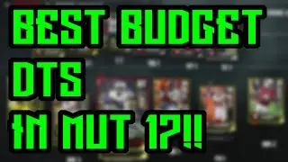 Best Budget Defensive Tackles In MUT 17!!!! Best DT For A Budget!!!!!
