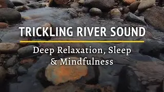 The Sound of Trickling River Water &ndash; Gentle Forest Stream for Deep Relaxation, Sleep & Mindfulness