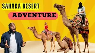 Sahara Adventure | The Ultimate Guide to Camel Trekking 🐪✨