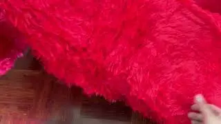 Red Fluffy Area Rug Showcase