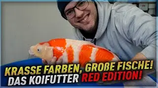 Koi Garage + DAS KOIFUTTER RED EDITION! Krasse Farben, große Fische!