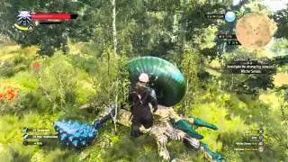 Witcher 3 Gameplay- Armoured Arachas Monster Fight