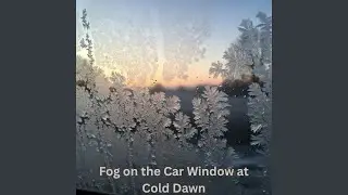 Fog on the Car Window at Cold Dawn
