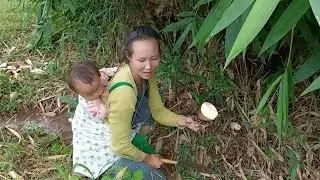 coj2 me nyuam los yuav tua mus dam ntsuag noj