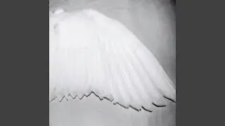 your mind