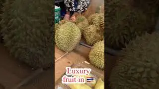Luxury fruit of Thailand #durian #premiumfruit