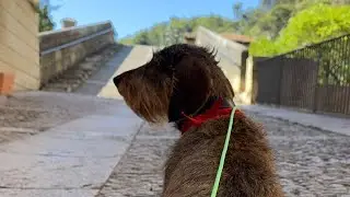 Paseo matinal. Lizarra -Estella