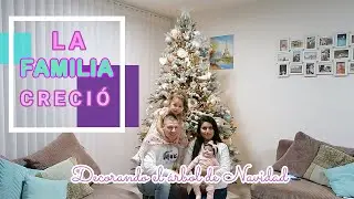 DECORANDO EL ÁRBOL + LA FAMILIA CRECIÓ + REGRESAMOS A YOUTUBE