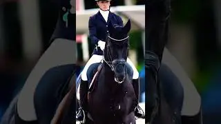 🔛🔝 #horse #equestrianrider #equestrian #dressage #equine #bond #stallion