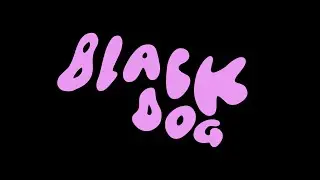 The Polar Boys - BLACK DOG [Visualizer]