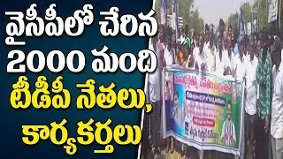 2000 TDP Leaders And Activists Joins In YSRCP Party || Ananthapuram || Bharat Today