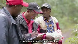 Phenology Monitoring/ Fizohiana ny Renin-kazo: NEP Darwin Initiative Project