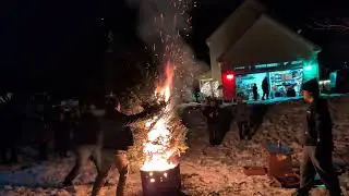 The Nichol Tree - Jan 10, 2026