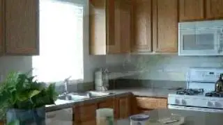 1728 GOLDENROD TURN DEKALB, IL 60115