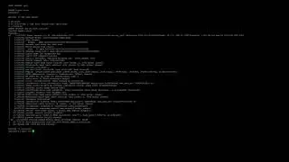 BeOS risc v linux emulator