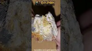 Incredible Wire Gold Specimen