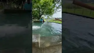 DIY SWIMMING POOL #diy #swimming #swimmingpool #farm #farmlife