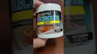 sick chameleon? this helps  reptile electrolyte soak