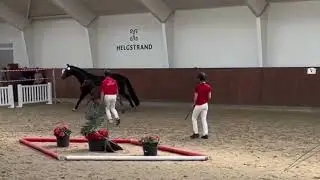 Desir&eacute;e 2 m&aring;neder f&oslash;lskue 2025