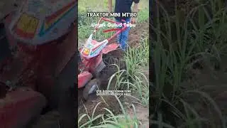 Traktor Mini MT180, dengan Mesin Diesel 7,5 HP #saamjember #cultivator #traktormini #minitiller
