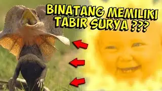 SELALU DI BAWAH TERIK MATAHARI, BAGAIMANA BINATANG MENANGKAL SINAR UV ???