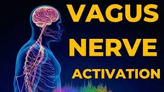 Activate Your Vagus Nerve & Access Higher Awareness | From Stress to Stillness in One Practice