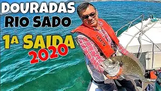 DOURADAS NO RIO SADO -1º SAIDA EM 2020 /GILTHEAD BREAM AND SEA BREAM FISHING/ 鲷鱼 /الدنيس مذهب الرأس✅
