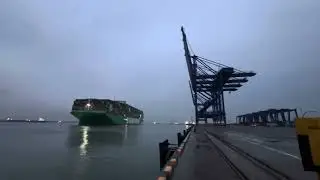 ECT CONTAINER TERMINAL #Colombo port #trending #foryou #trending #fyp #indonesia