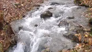 Tardor que s'allunya, hivern que s'acosta - Novembre 2018 - METEORIBES