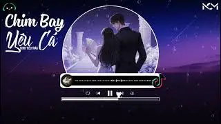 [Vietsub] Chim Bay Yêu Cá - Ninh Tiểu Trác | 飞鸟爱上了鱼 (男版) - 宁小泽 | Fei Niao Ai Shang Le Yu  ♪【動態歌詞MV】♪