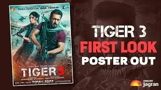 Tiger 3 New Poster - New Director