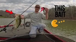 Bass Fishing Norris Lake Early April.
