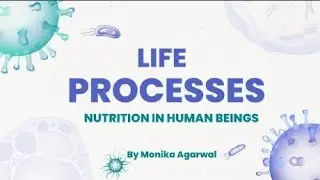 Life Processes - Nutrition in Human Beings| Class 10 | Part VI | Monika Agarwal